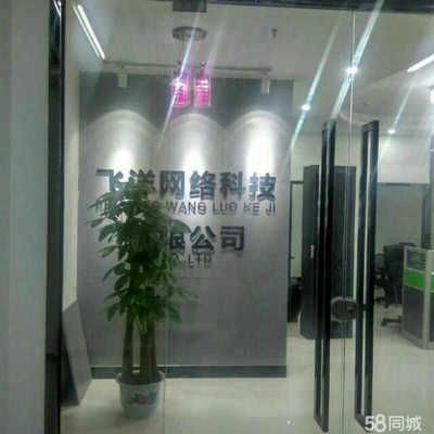 飞洋网络科技 以技术服务为核心，引领数字化转型新航程